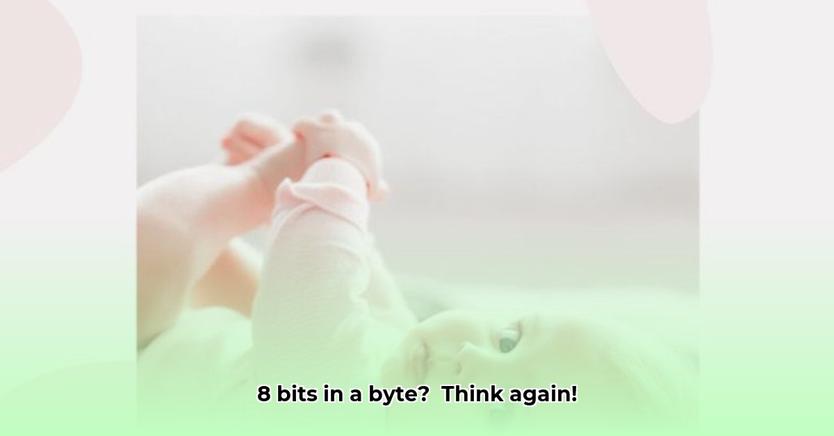 waarvan-zitten-er-acht-in-een-byte-4-letters